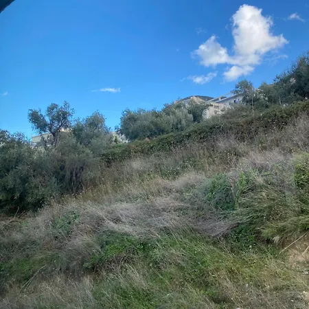 Kam * Vlore